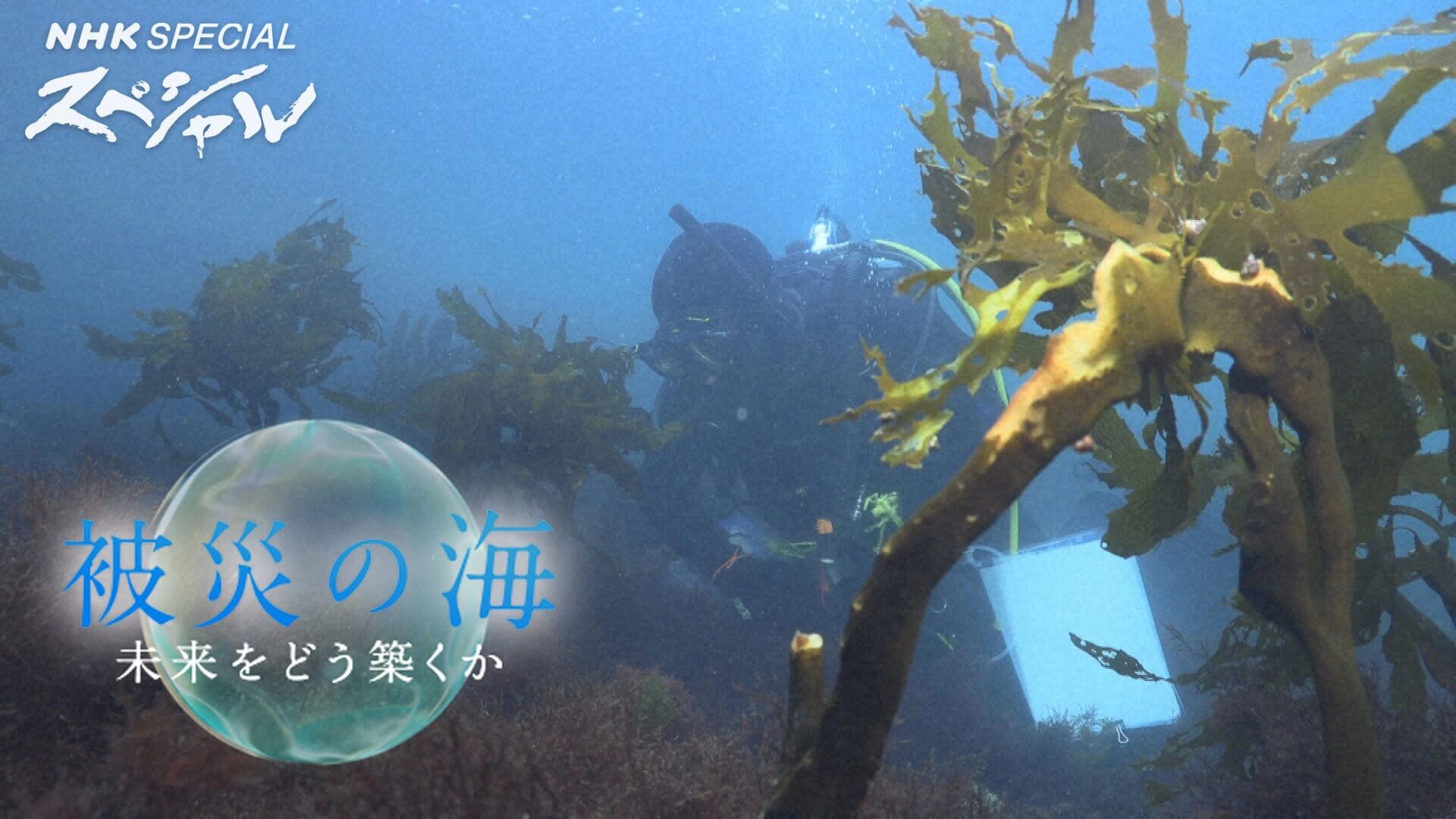 NHKスペシャル「被災の海 未来をどう築くか」